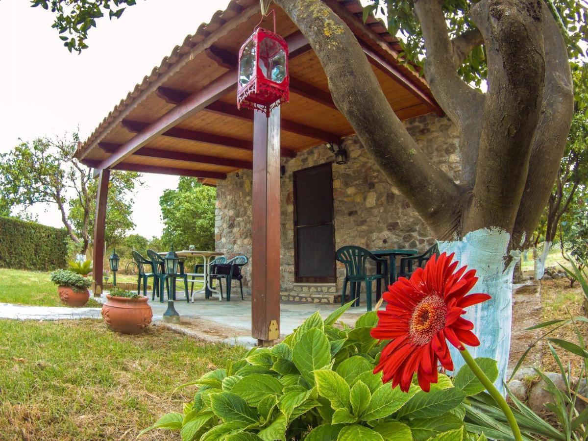 Willa Patras Stonehouse With Large Yard - Πέτρινο Σπίτι Με Αυλή Paralía Zewnętrze zdjęcie
