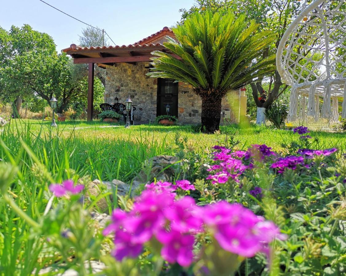 Willa Patras Stonehouse With Large Yard - Πέτρινο Σπίτι Με Αυλή Paralía Zewnętrze zdjęcie